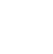 Anmelden Icon